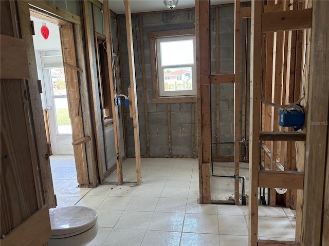 bathroom featuring a healthy amount of sunlight and toilet