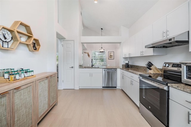 kitchen featuring lofted ceiling, under cabinet range hood, white cabinetry, and stainless steel appliances