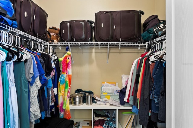 view of walk in closet