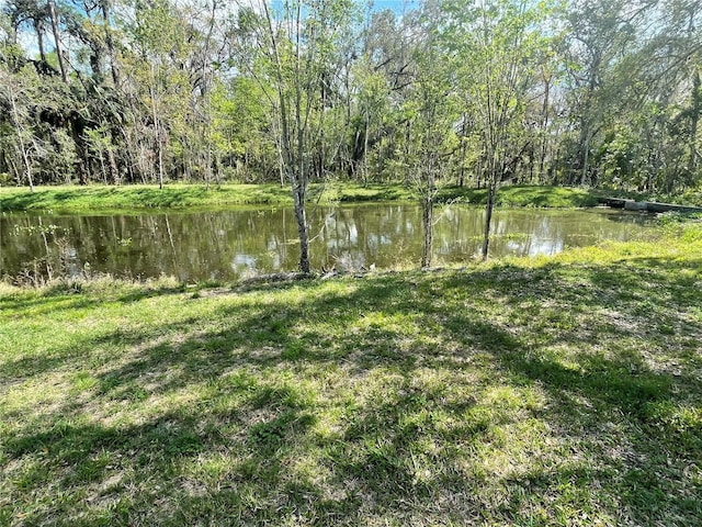 view of yard with a water view and a view of trees