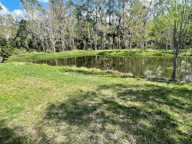 view of yard featuring a water view