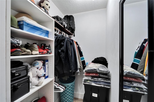 4118 Ramona Dr, Spring Hill, FL 34606 - view of walk in closet