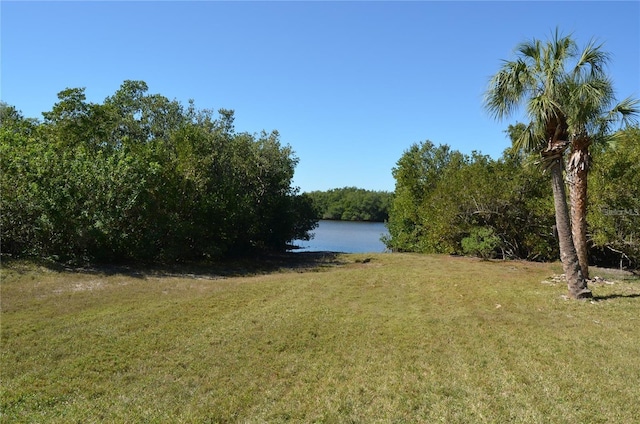 view of yard with a water view