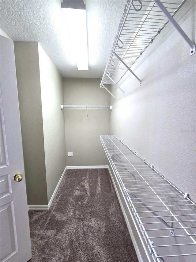 spacious closet with carpet floors