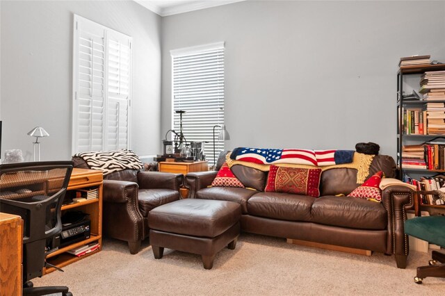 living area featuring ornamental molding and carpet