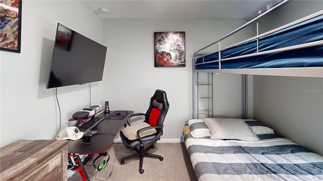 10115 Paradise Fish Dr, Riverview, FL 33578 - view of carpeted bedroom