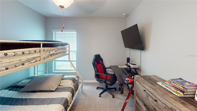 10115 Paradise Fish Dr, Riverview, FL 33578 - bedroom with baseboards and carpet floors