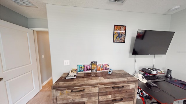 10115 Paradise Fish Dr, Riverview, FL 33578 - carpeted home office with visible vents and a textured ceiling