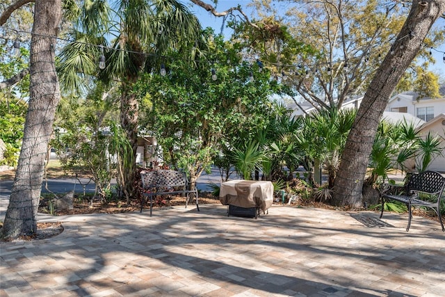 view of patio / terrace featuring a grill