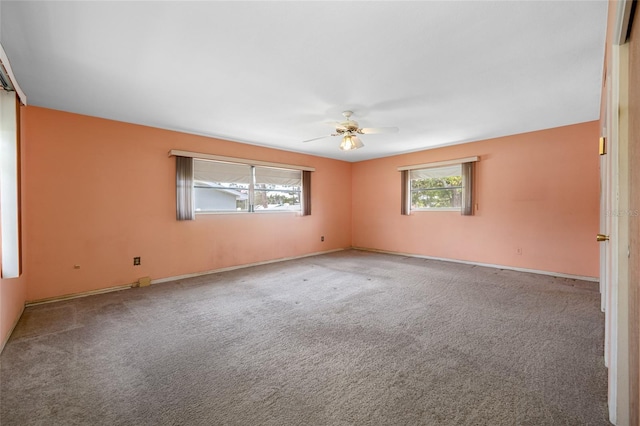 11601 86th Ave, Seminole, FL 33772 - photo 37