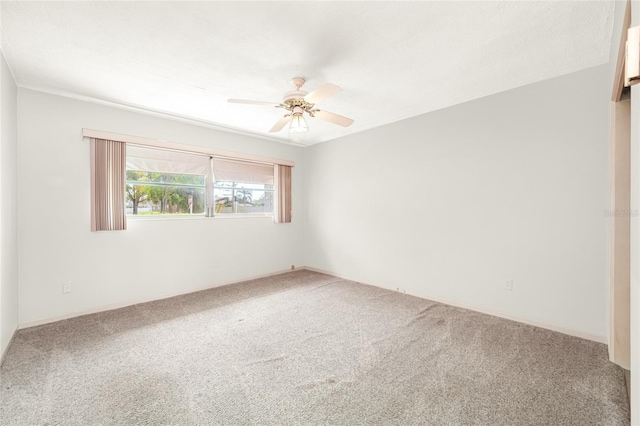 11601 86th Ave, Seminole, FL 33772 - photo 38