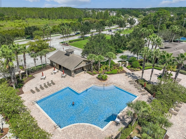 view of swimming pool featuring a patio area and a view of trees