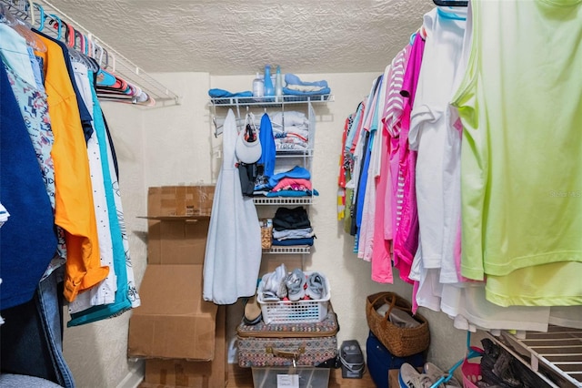 view of walk in closet