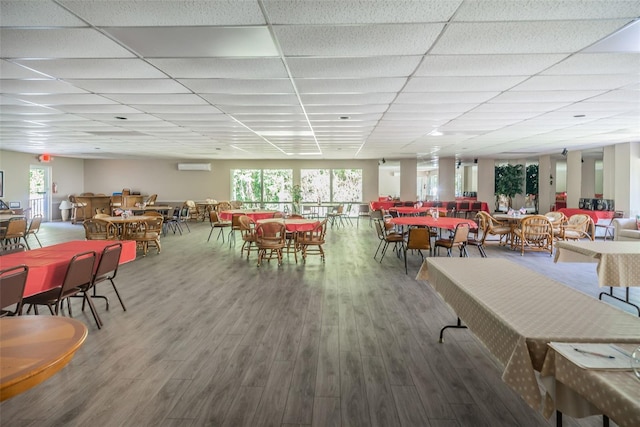 dining space with plenty of natural light, wood finished floors, and a drop ceiling