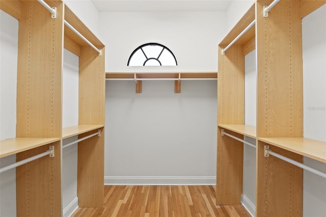 walk in closet with light wood-style floors