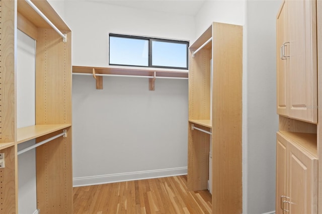 walk in closet with light wood finished floors