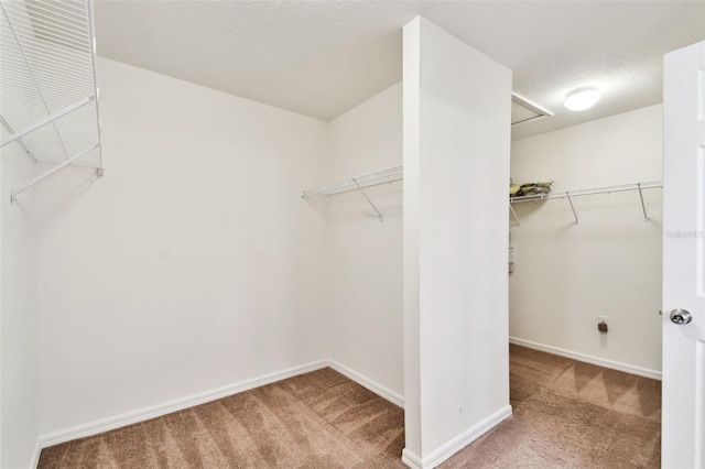 spacious closet featuring carpet floors