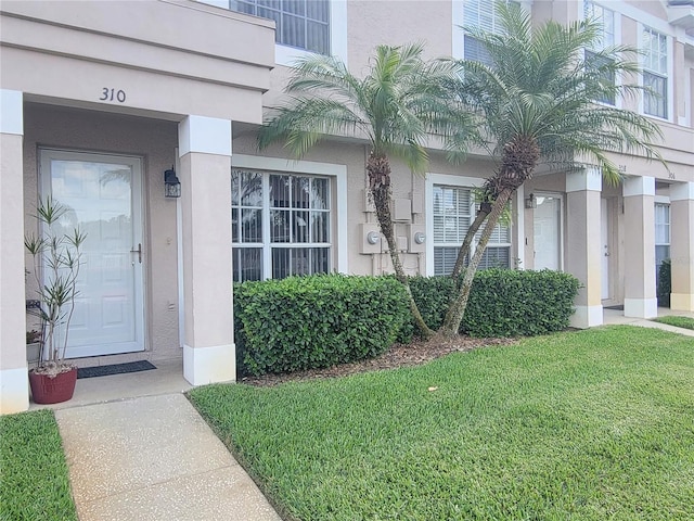 property entrance featuring a yard and stucco siding