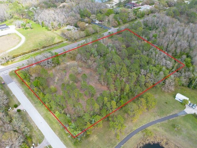 331 Appaloosa Rd, Tarpon Springs, FL 34688 - photo 38