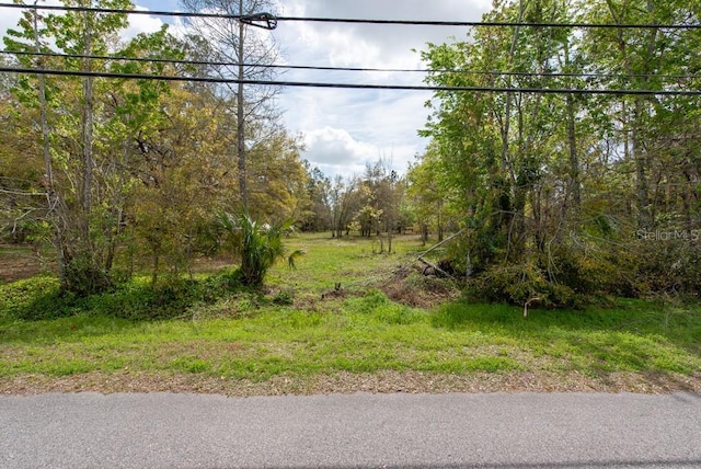 331 Appaloosa Rd, Tarpon Springs, FL 34688 - photo 1