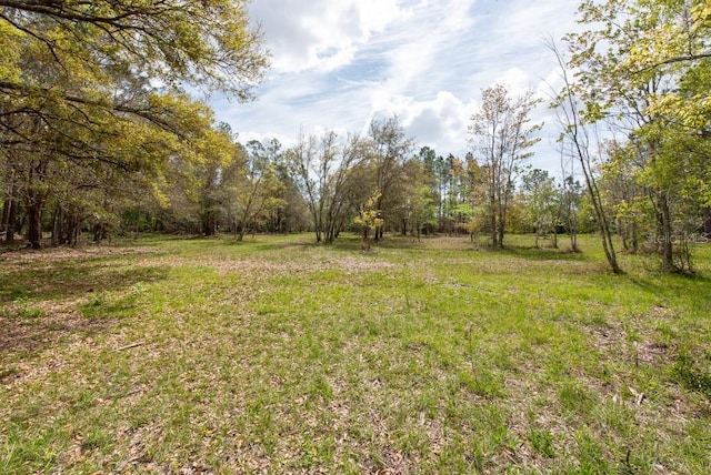 331 Appaloosa Rd, Tarpon Springs, FL 34688 - photo 2
