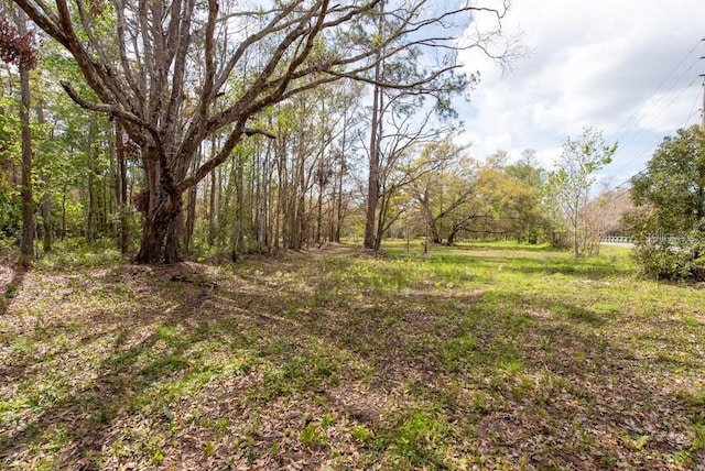 331 Appaloosa Rd, Tarpon Springs, FL 34688 - photo 4
