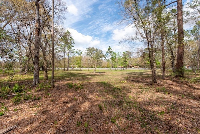 331 Appaloosa Rd, Tarpon Springs, FL 34688 - photo 5