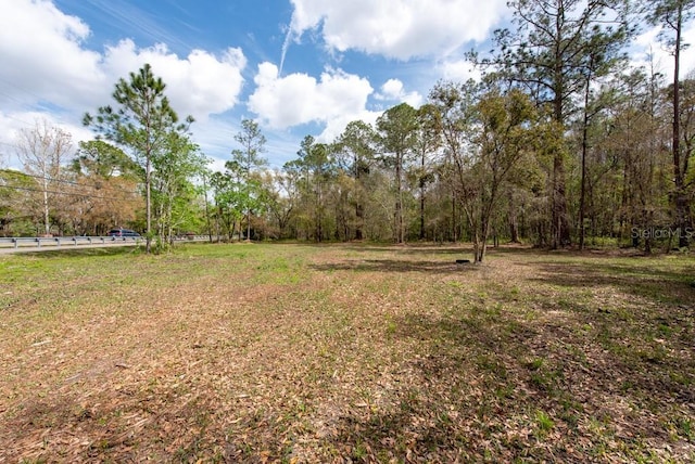 331 Appaloosa Rd, Tarpon Springs, FL 34688 - photo 6