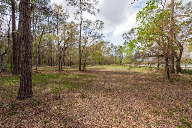 331 Appaloosa Rd, Tarpon Springs, FL 34688 - photo 11