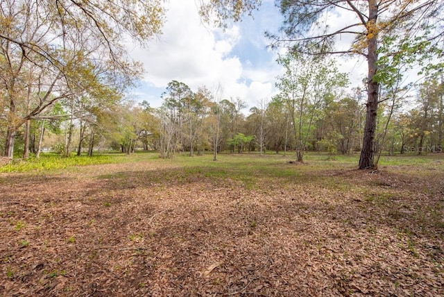 331 Appaloosa Rd, Tarpon Springs, FL 34688 - photo 7