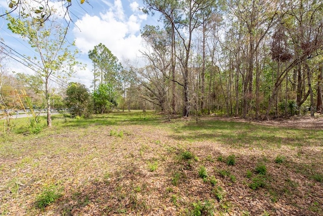 331 Appaloosa Rd, Tarpon Springs, FL 34688 - photo 14