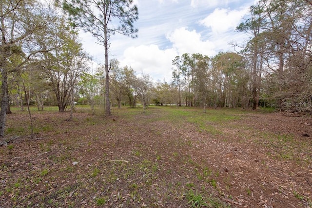 331 Appaloosa Rd, Tarpon Springs, FL 34688 - photo 13
