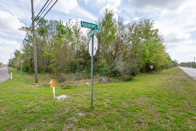 331 Appaloosa Rd, Tarpon Springs, FL 34688 - photo 18
