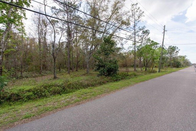 331 Appaloosa Rd, Tarpon Springs, FL 34688 - photo 19