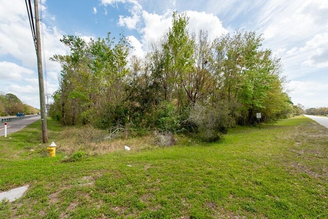 331 Appaloosa Rd, Tarpon Springs, FL 34688 - photo 20