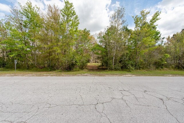 331 Appaloosa Rd, Tarpon Springs, FL 34688 - photo 21