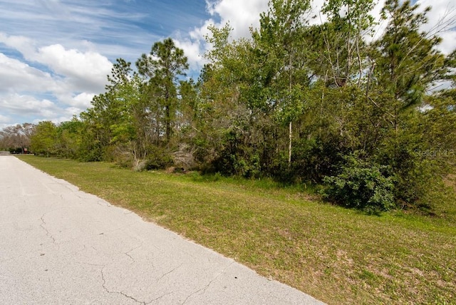 331 Appaloosa Rd, Tarpon Springs, FL 34688 - photo 23