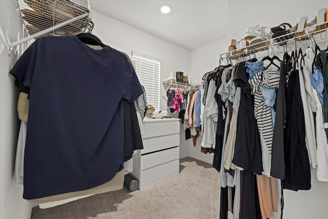 walk in closet with carpet floors