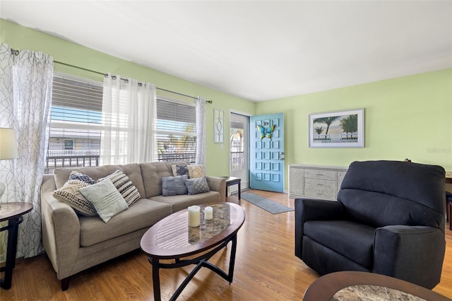 living room featuring wood finished floors