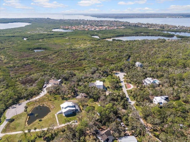 drone / aerial view with a water view and a wooded view