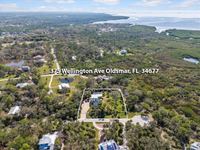 bird's eye view featuring a view of trees and a water view