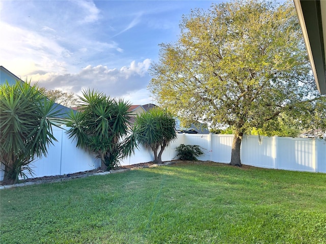 view of yard featuring a fenced backyard