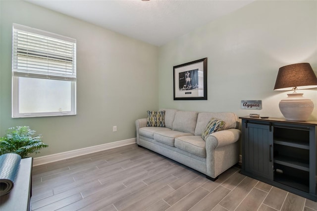 living room featuring baseboards and wood tiled floor