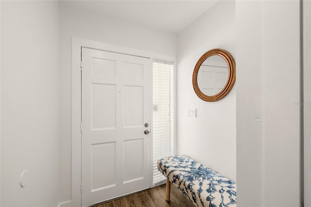 entrance foyer featuring dark wood-type flooring