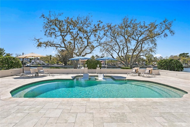 view of pool with a patio area and a fenced in pool