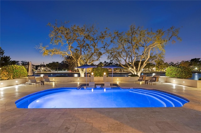 view of swimming pool with a patio and exterior kitchen