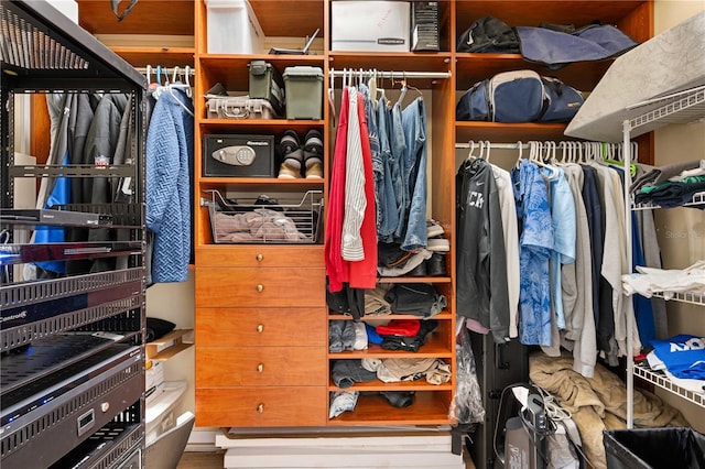 view of walk in closet