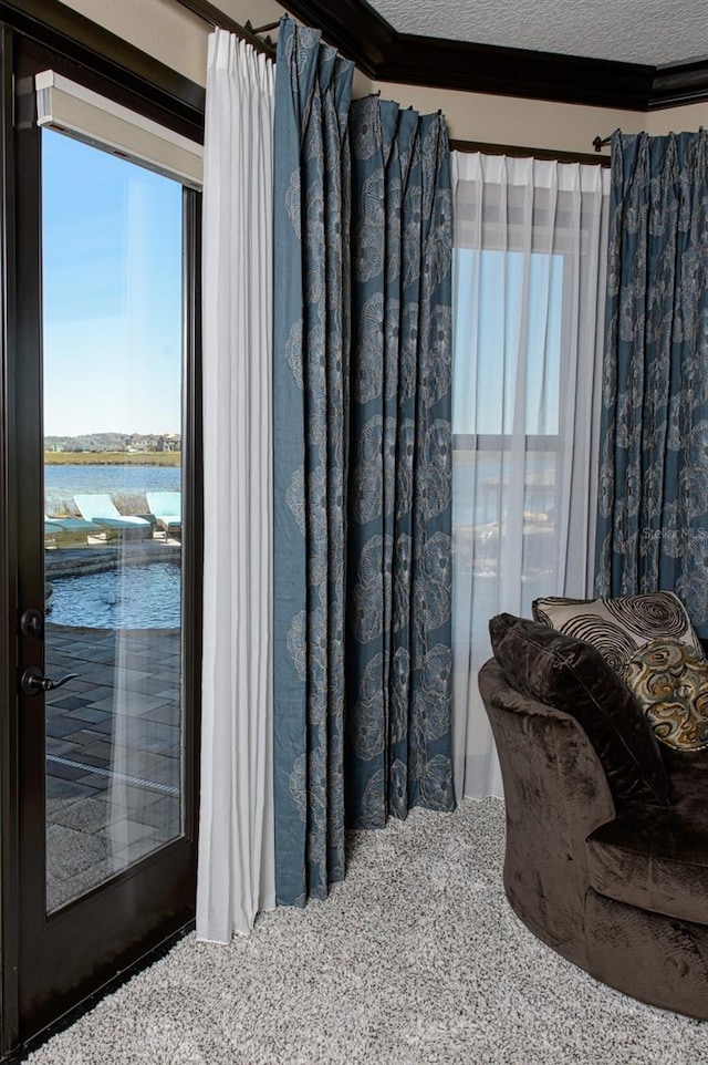 interior space featuring ornamental molding, a water view, and a textured ceiling