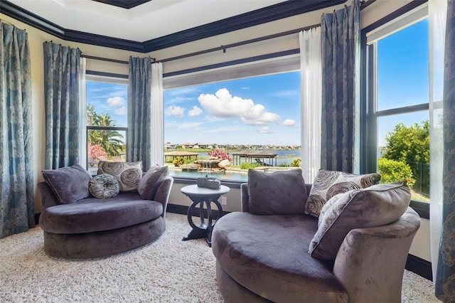 sitting room featuring a healthy amount of sunlight, a water view, and crown molding
