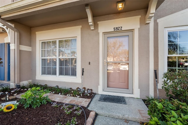 view of exterior entry featuring stucco siding